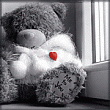 nounours